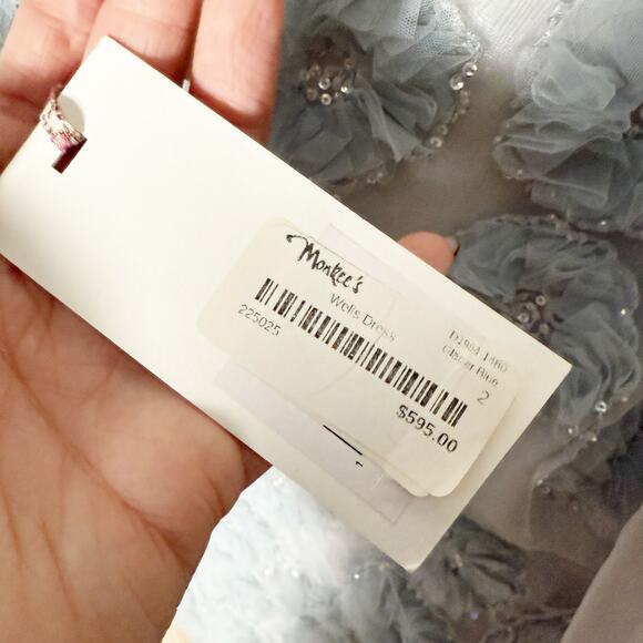 LoveShackFancy Wells Puff Sleeve Mini Dress Organza Glacier Blue Size 2 NEW - Picture 8 of 9